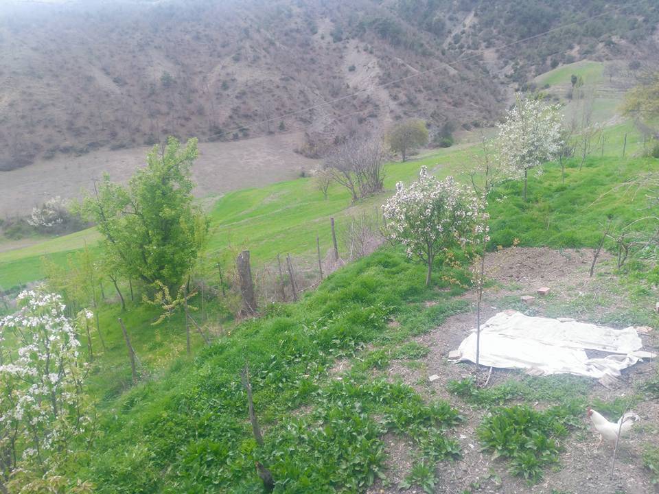 Sinop Çeşnigir Köyü Resimleri 6