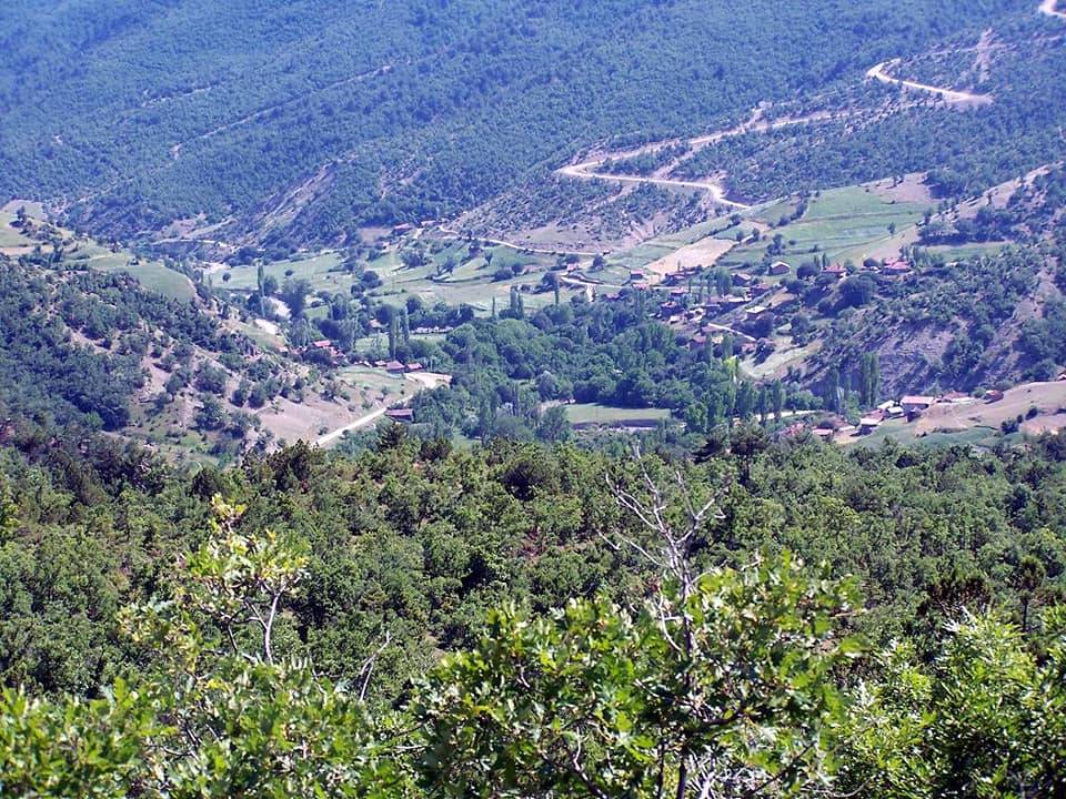 Sinop Çeşnigir Köyü Resimleri 9