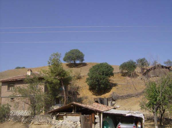 Sinop Çorak Köyü Resimleri 7