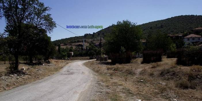 Sinop Çorak Köyü Resimleri