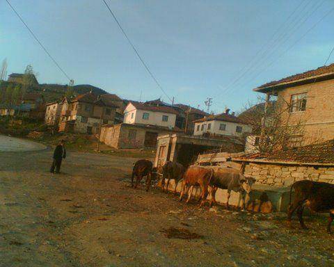 Sinop Çulhalı Köyü Resimleri 1