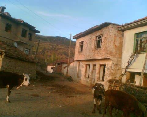 Sinop Çulhalı Köyü Resimleri 10