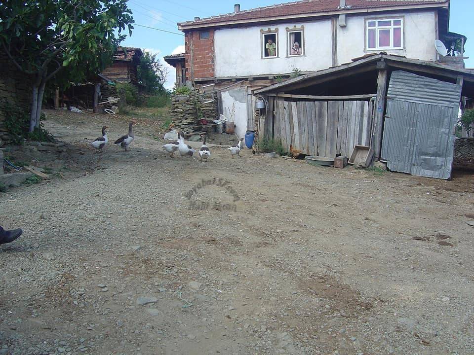 Sinop Çurkuşlar Köyü Resimleri 1