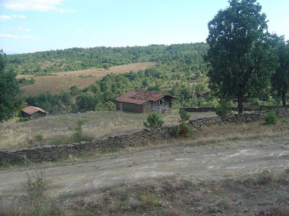Sinop Çurkuşlar Köyü Resimleri 3