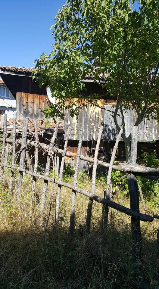 Sinop Dağtabaklı Köyü Resimleri 5