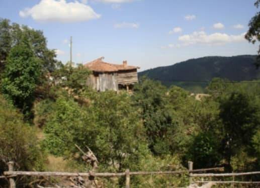 Sinop Dağtabaklı Köyü Resimleri 8