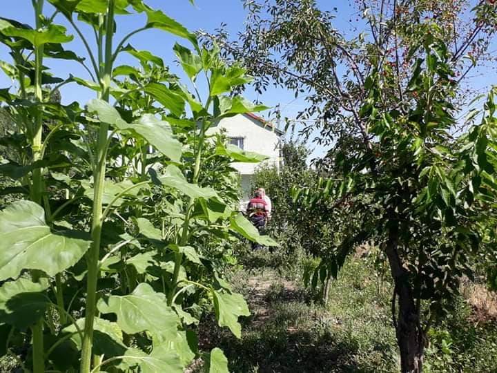 Seydişehir Bostandere Köyü Resimleri 4