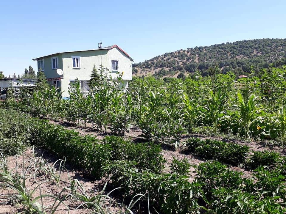 Seydişehir Bostandere Köyü Resimleri 5