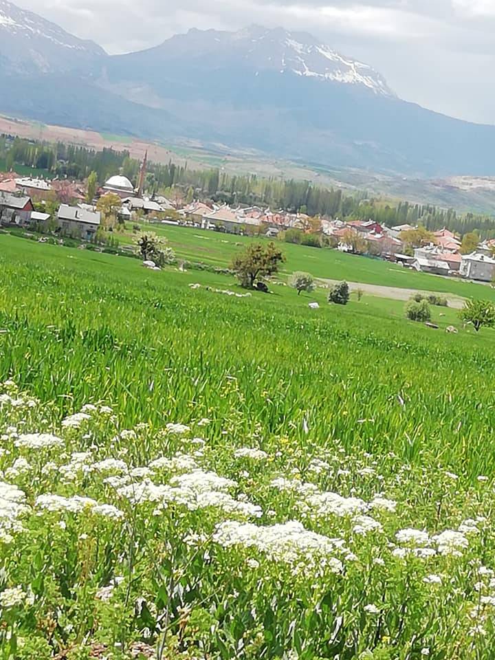 Seydişehir Boyalı Köyü Resimleri 6