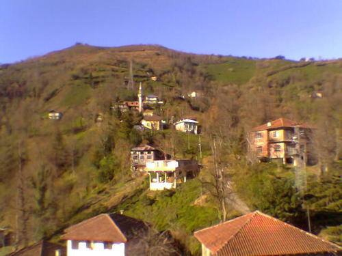 Çayeli Musadağı Köyü Resimleri 1