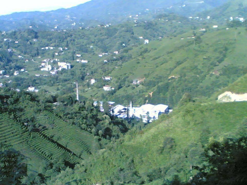 Çayeli Musadağı Köyü Resimleri 11