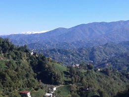 Çayeli Musadağı Köyü Resimleri 3