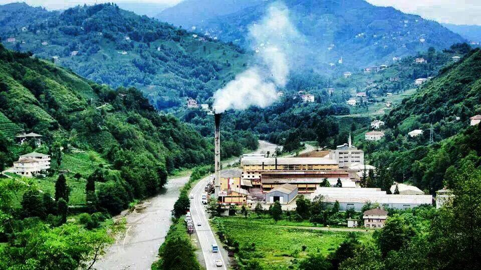 Çayeli Musadağı Köyü Resimleri 4