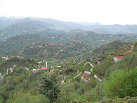 Çayeli Musadağı Köyü Resimleri 7