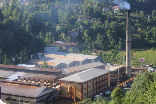 Çayeli Musadağı Köyü Resimleri 8