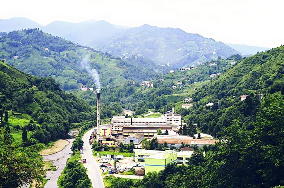 Çayeli Musadağı Köyü Resimleri 9