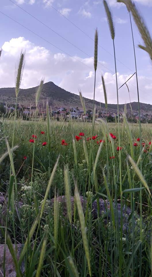 Seydişehir Karacaören Köyü Resimleri 7