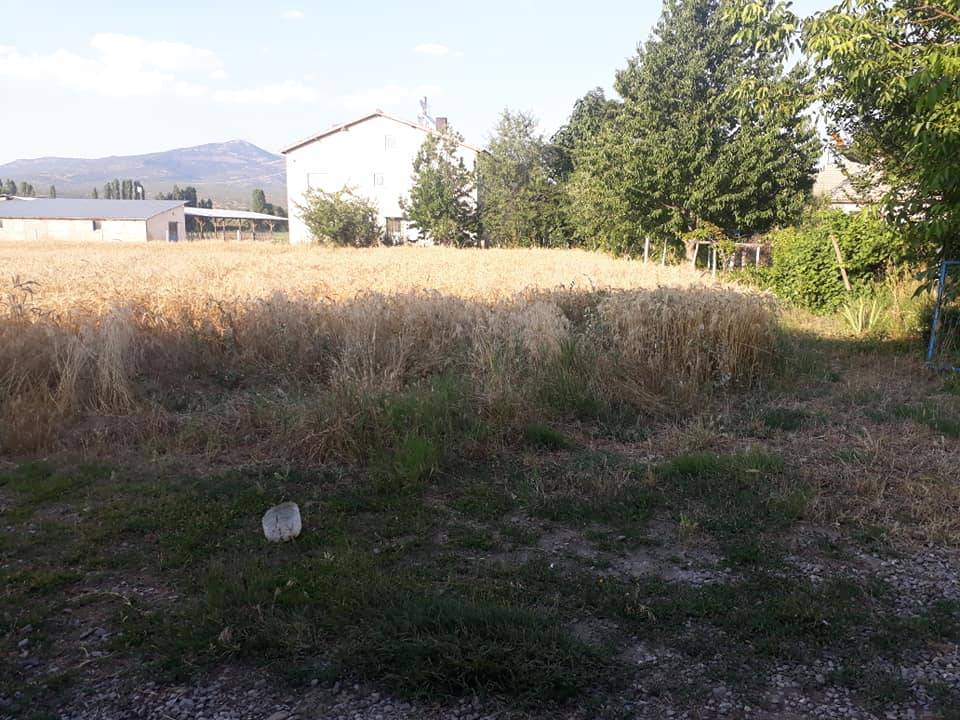 Seydişehir Kesecik Köyü Resimleri 1