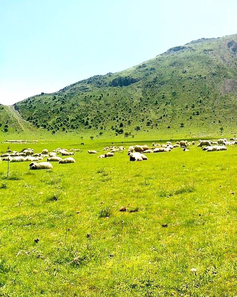 Seydişehir Mesudiye Köyü Resimleri 3