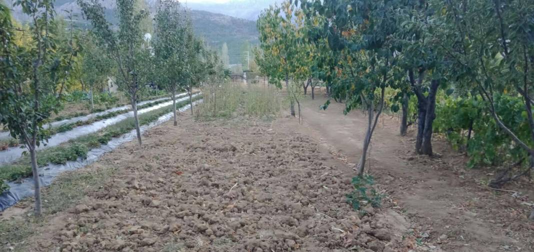 Seydişehir Taraşçı Köyü Resimleri 8