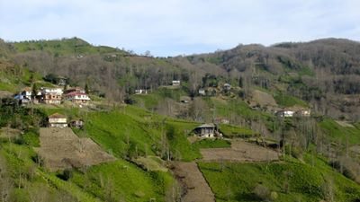 Çayeli Sefalı Köyü Resimleri 1