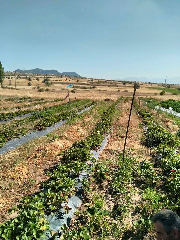Seydişehir Tepecik Köyü Resimleri 4
