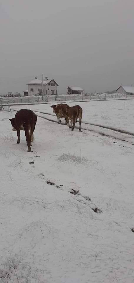 Sinop Doğuca Köyü Resimleri 5