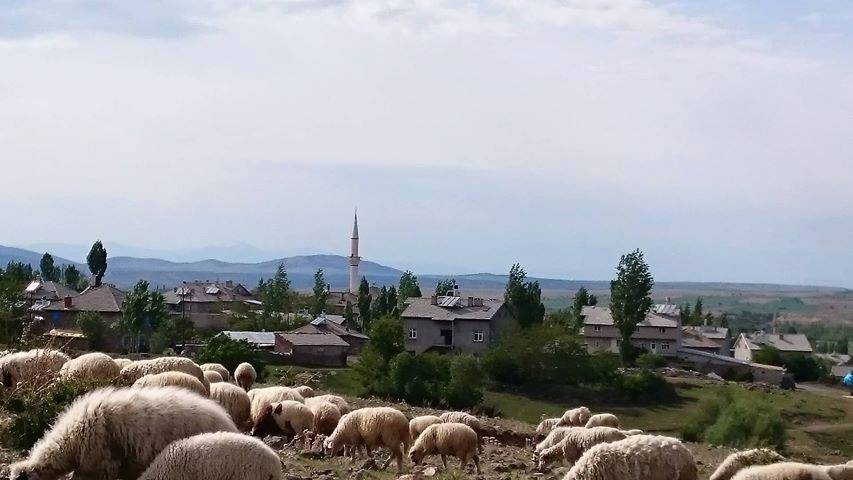 Seydişehir Tol Köyü Resimleri 5