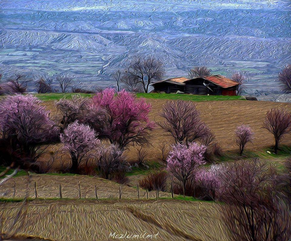 Boyabat Edil Köyü Resimleri 2