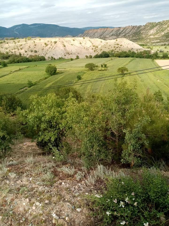 Boyabat Eğlence Köyü Resimleri 4