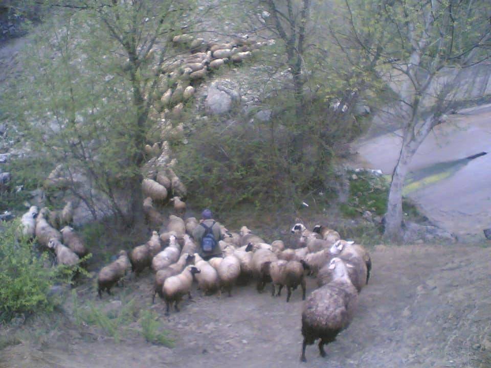 Boyabat Ekinören Köyü Resimleri 7