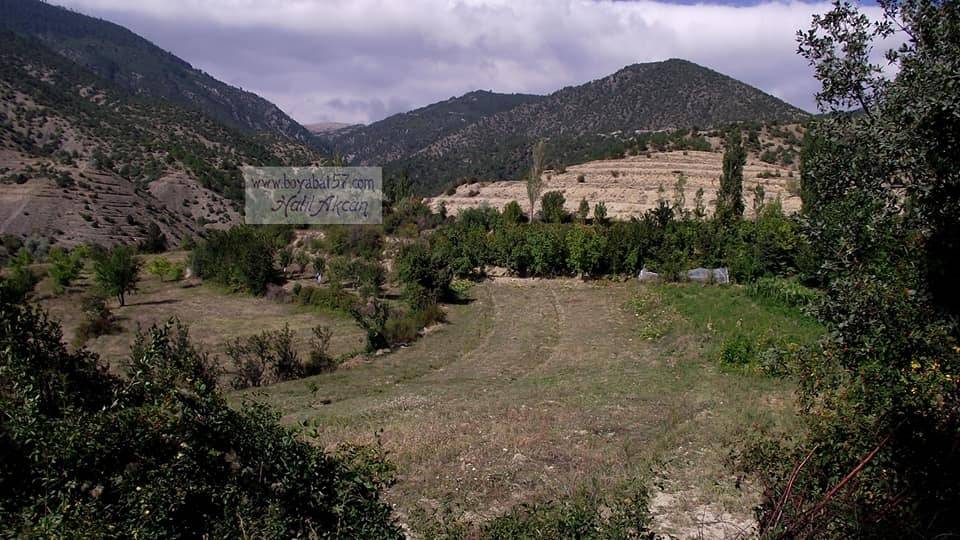 Boyabat Ekinören Köyü Resimleri 9