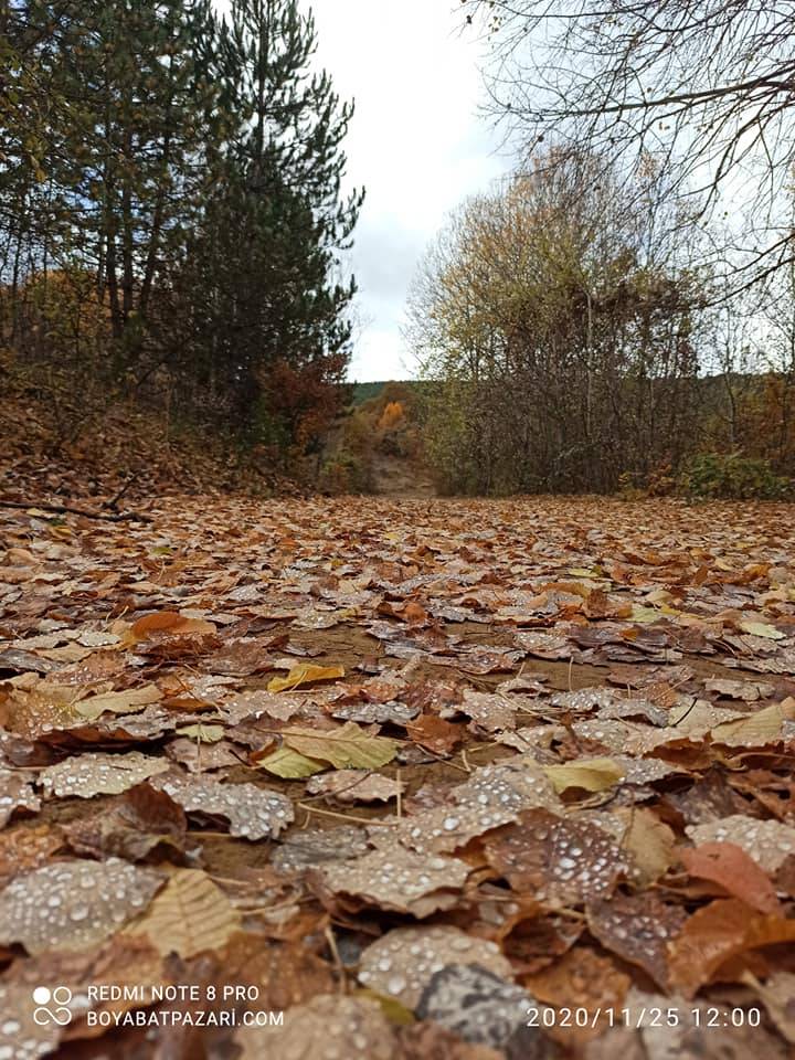 Boyabat Emiroğlu Köyü Resimleri 7