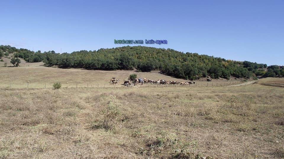 Boyabat Esengazili Köyü Resimleri 3