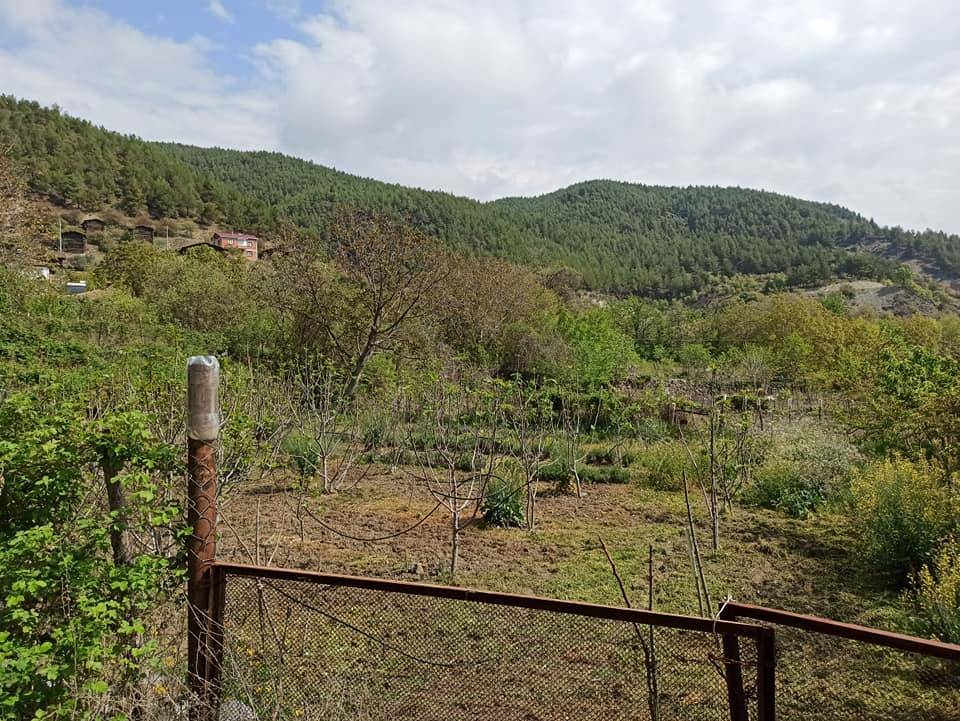 Boyabat Gazidere Köyü Resimleri 6