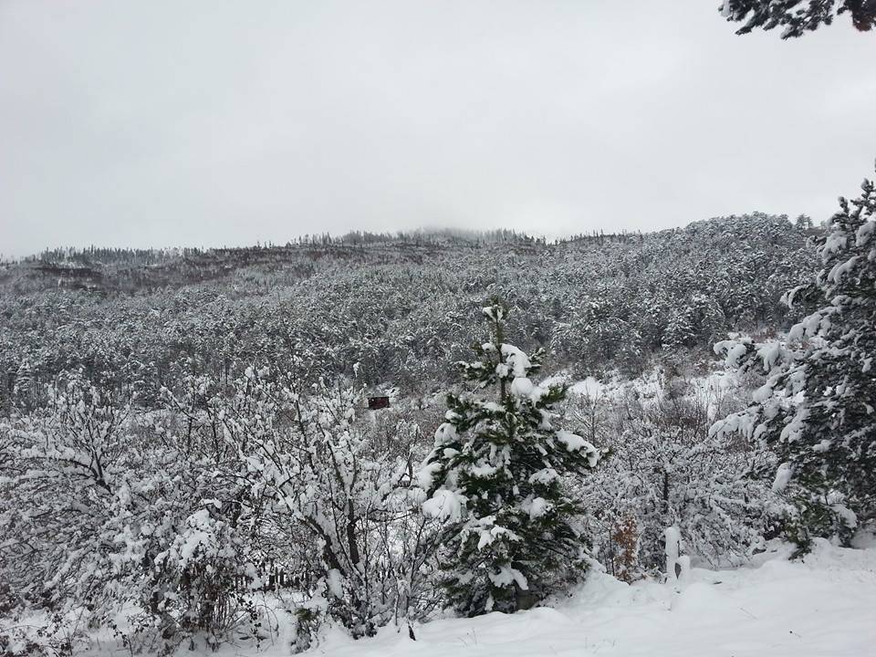 Boyabat Gökçukur Köyü Resimleri 1