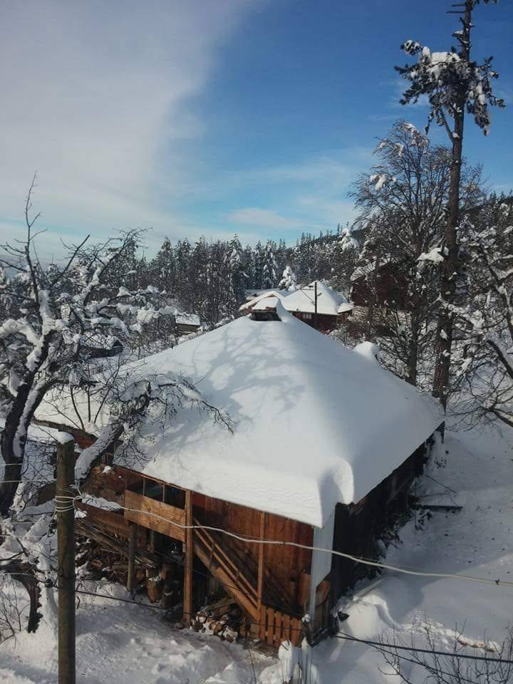 Boyabat Gökçukur Köyü Resimleri 13