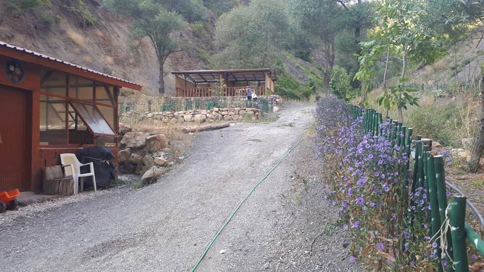 Boyabat Gökçukur Köyü Resimleri 17