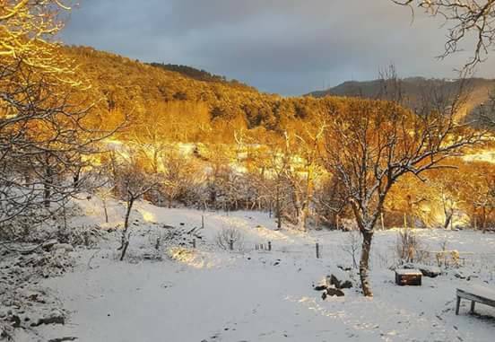 Boyabat Gökçukur Köyü Resimleri 8