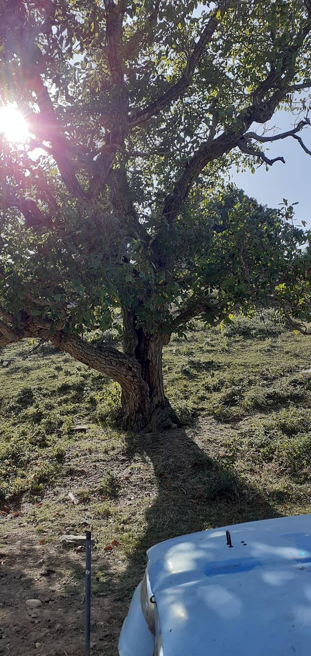 Boyabat Göve Köyü Resimleri 13