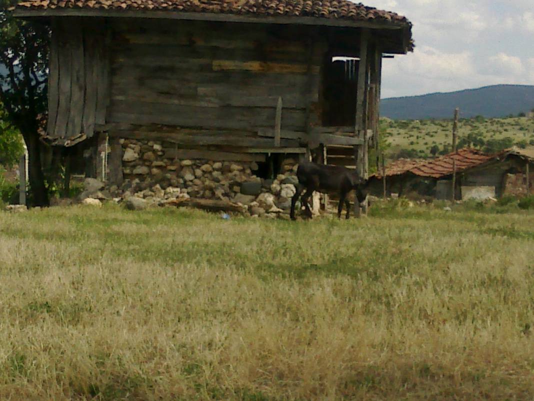 Boyabat Göve Köyü Resimleri 3