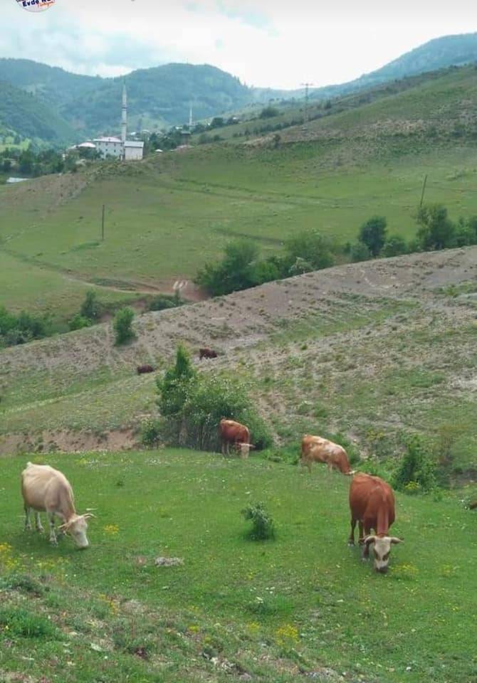 Boyabat Günpınar Köyü Resimleri 12