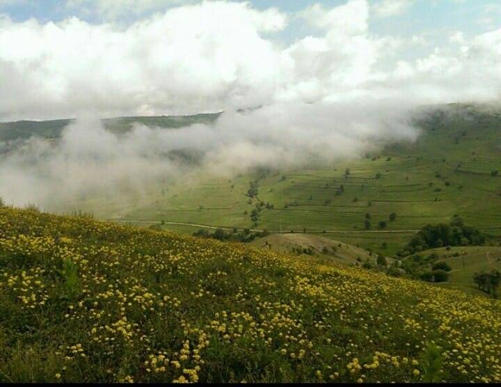Boyabat Günpınar Köyü Resimleri 13
