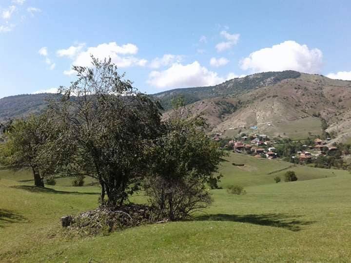 Boyabat Günpınar Köyü Resimleri 8