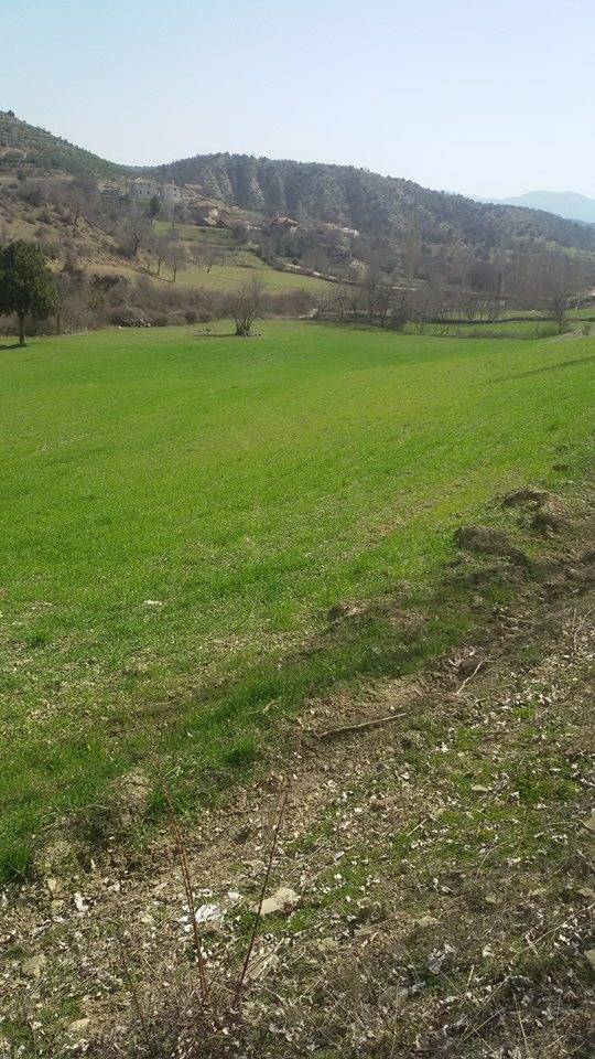 Boyabat Hamzalı Köyü Resimleri 1