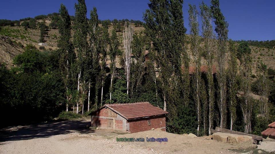 Boyabat Hamzalı Köyü Resimleri 15
