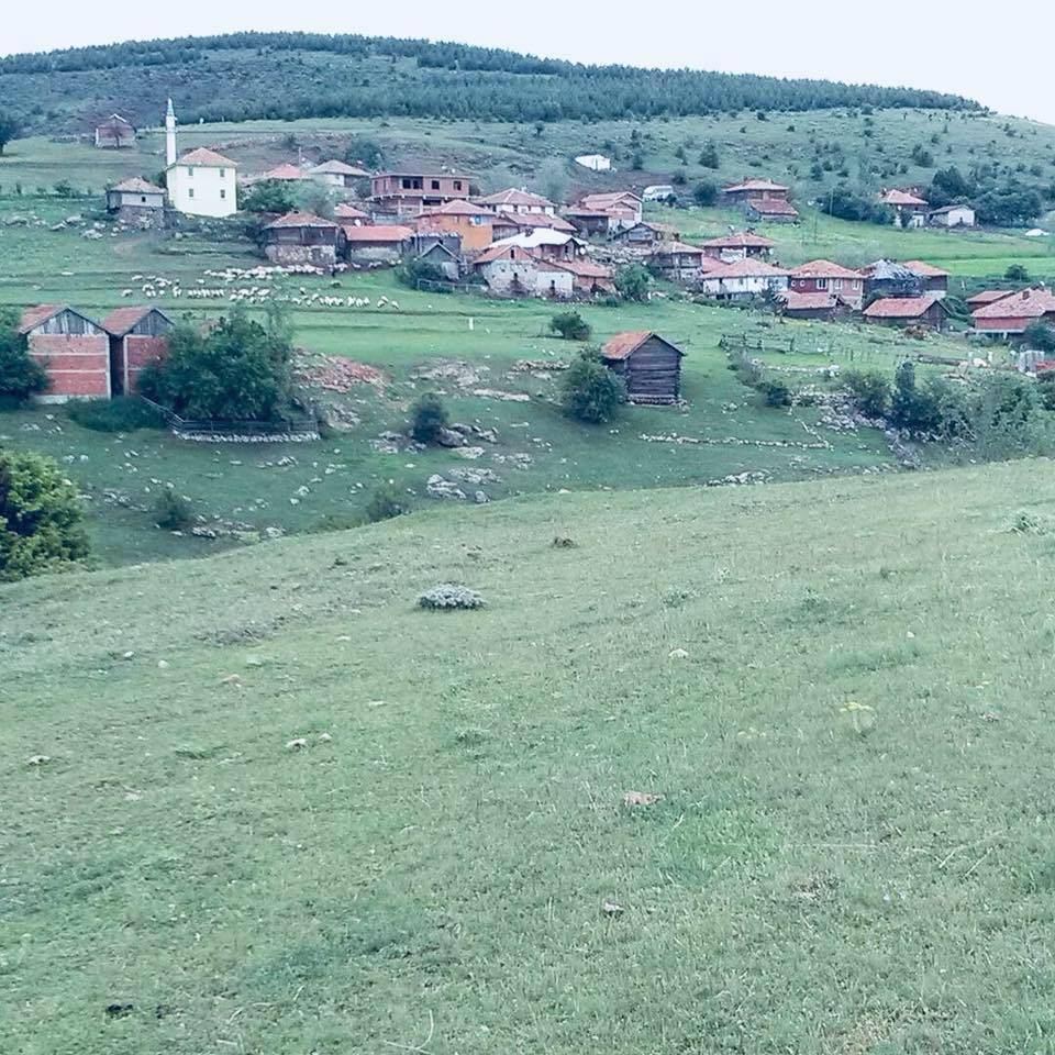 Boyabat Hamzalı Köyü Resimleri 5