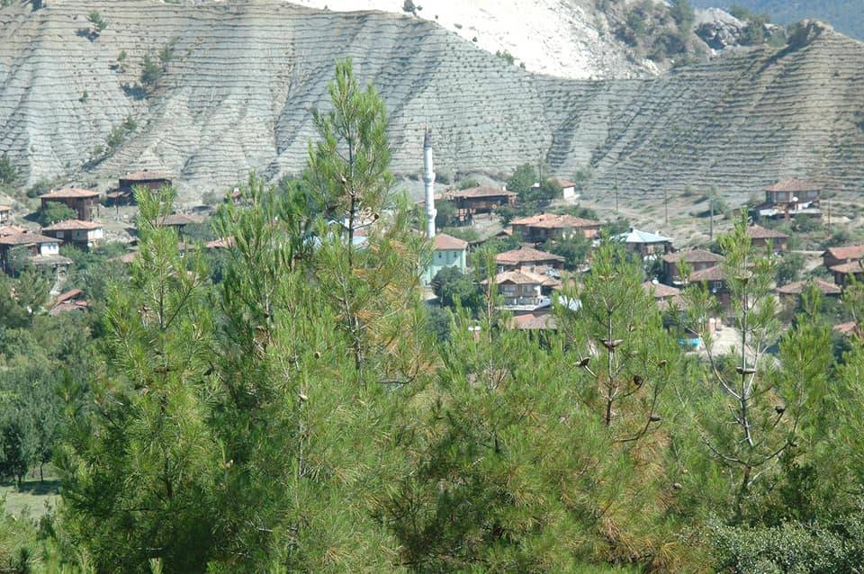 Boyabat İmamlı Köyü Resimleri 2