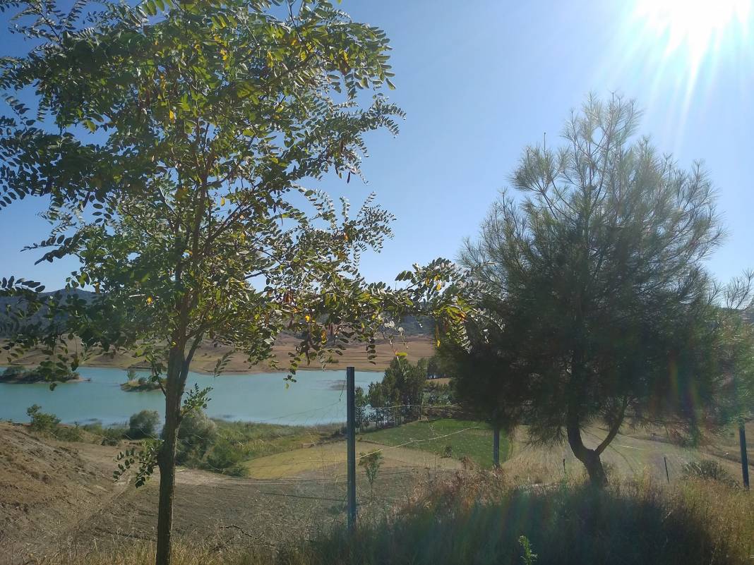 Boyabat İsaoğlu Köyü Resimleri 11