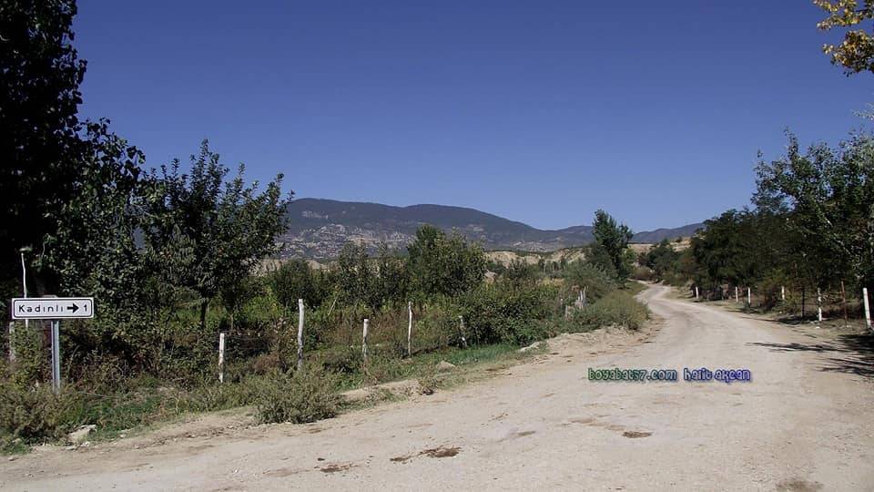Boyabat Kadınlı Köyü Resimleri 8